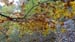 2016-10-16 Monte Savina Monte Etra 000852
