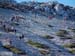 2016-11-26 Monte Crepacuore 00252