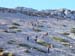 2016-11-26 Monte Crepacuore 00259
