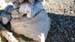 2016-11-26 Monte Crepacuore 00651