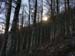 2016-11-26 Monte Crepacuore 00730