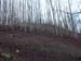 2016-11-26 Monte Crepacuore 00741