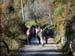 2016-12-10 Monte Follettoso 00023