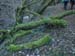 2016-12-10 Monte Follettoso 00098