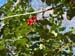 2016-12-10 Monte Follettoso 00178