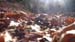 2016-12-10 Monte Follettoso 00204