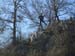2016-12-10 Monte Follettoso 00230