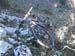 2016-12-10 Monte Follettoso 00235