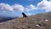 2017-04-08 Cima di Roscia Grande 000668