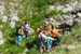 2017-07-15 Monte Pelone Settentrionale 00000084
