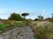 2017-09-17 Lungo la via Appia 00086