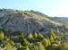 2017-09-23 Picco Italia Monte Bicchero 000015