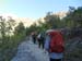 2017-09-23 Picco Italia Monte Bicchero 000059