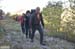 2017-09-23 Picco Italia Monte Bicchero 000063