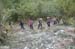 2017-09-23 Picco Italia Monte Bicchero 000182