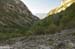 2017-09-23 Picco Italia Monte Bicchero 000221