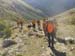 2017-09-23 Picco Italia Monte Bicchero 000358