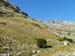 2017-09-23 Picco Italia Monte Bicchero 000442