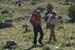 2017-09-23 Picco Italia Monte Bicchero 000519