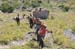 2017-09-23 Picco Italia Monte Bicchero 000520