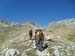 2017-09-23 Picco Italia Monte Bicchero 000557