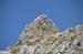 2017-09-23 Picco Italia Monte Bicchero 000564