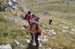 2017-09-23 Picco Italia Monte Bicchero 000623