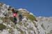 2017-09-23 Picco Italia Monte Bicchero 000693