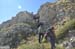 2017-09-23 Picco Italia Monte Bicchero 000748