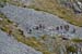 2017-09-23 Picco Italia Monte Bicchero 000905