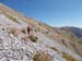 2017-09-23 Picco Italia Monte Bicchero 000914