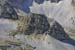 2017-09-23 Picco Italia Monte Bicchero 001234