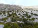 2017-09-23 Picco Italia Monte Bicchero 001459