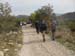 2017-09-23 Picco Italia Monte Bicchero 001529