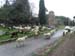 2017-12-09 Lungo la via Appia Antica 00128