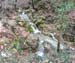 2017-12-30 Fosso le Cannuccete 00289