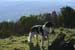 2018-01-13 Monte Soratte 0126