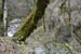 2018-03-10 Laghetti di Percile 000696