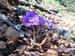 2018-04-07 Pizzo Marcello 00308