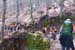 2018-04-07 Pizzo Marcello 00502