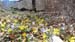 2018-04-07 Pizzo Marcello 00538