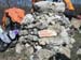 2018-04-07 Pizzo Marcello 00636