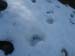 2018-04-07 Pizzo Marcello 00936