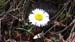 2018-04-07 Pizzo Marcello 00959