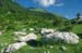 2018-06-02 Monte Elefante Monte Valloni da Micigliano 0006