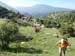 2018-06-02 Monte Elefante Monte Valloni da Micigliano 0025