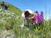 2018-06-02 Monte Elefante Monte Valloni da Micigliano 0356