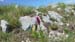 2018-06-02 Monte Elefante Monte Valloni da Micigliano 0382