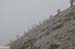 2018-06-16 Monte Brancastello da Vado di Corno 0655