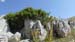 2018-07-15 Monte S. Nicola, Di Canale, La Castellina, Sirente da Vado Castello 00031